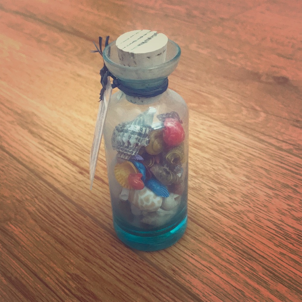Seashell Bottle Decoration